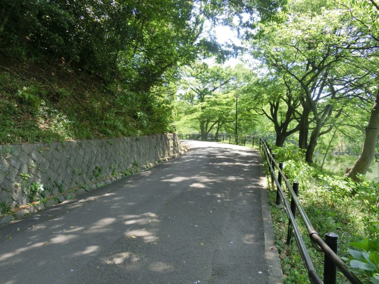 三ッ池公園 自転車