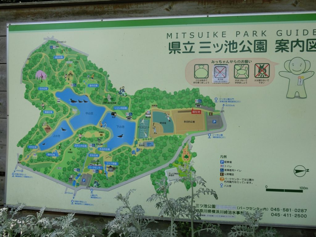 三ッ池公園2